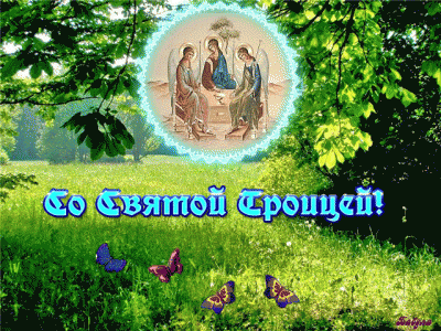 pic.gif