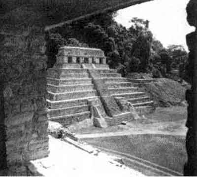 17477.jpg