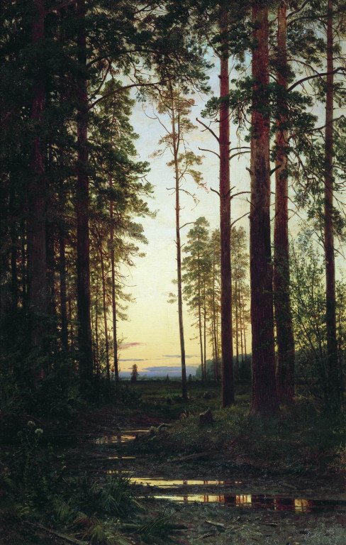 Сумерки. 