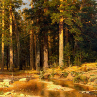 Корабельная роща.