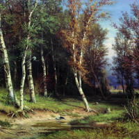 Лес перед грозой.