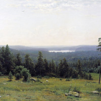 Лесные дали.