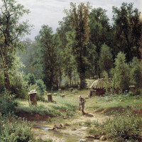 Пасека в лесу. 