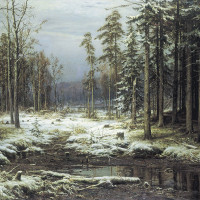 Первый снег.