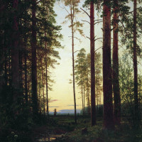Сумерки. 