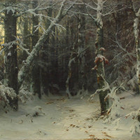 Зимний лес